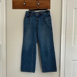 Hollister Low Rise Baggy Jeans